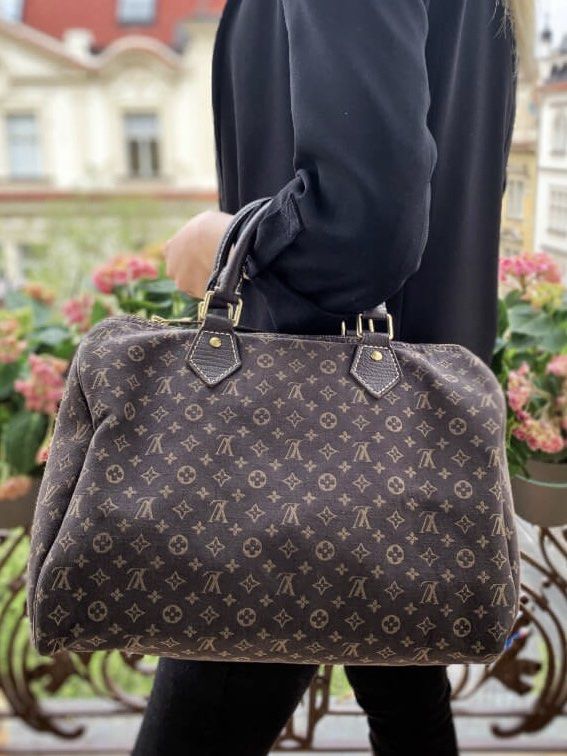 LOUIS VUITTON Monogram Ebene Mini Lin Speedy 30 Bag